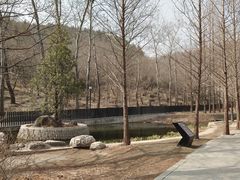 -白水寺森林公园