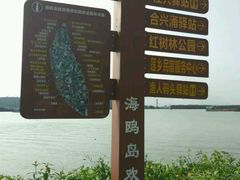 -海鸥岛
