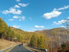 -塞罕坝国家级自然保护区