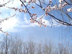 -北京奥林匹克公园