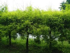 -成都中医药大学(温江校区)