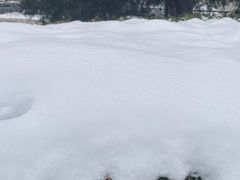 -北京百花美术用品有限公司