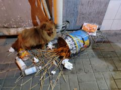 -白纸坊美式炸鸡