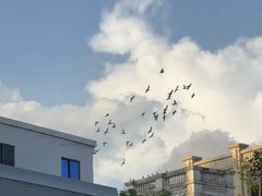 -上海长风大悦城