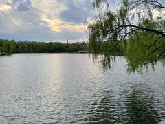 -长春市南湖公园