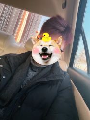 -时尚工厂·科学染发