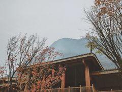 -中国傩城