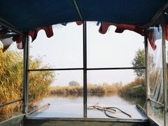 -白洋淀景区
