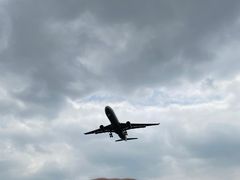 -空港花田景区