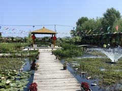 -同銮特种养殖场·龙虾垂钓