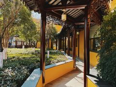 -圆通寺