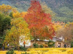 -塔川景区