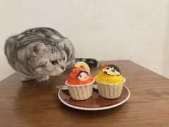 -猫友咖啡店(玉林西路店)