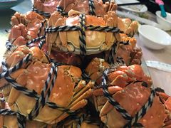 -乡乐园蟹庄·阳澄湖农家乐