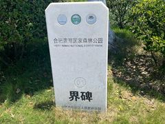 -合肥滨湖国家森林公园