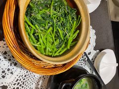 -熠盛粤味·顺德桑拿鸡(永康路店)