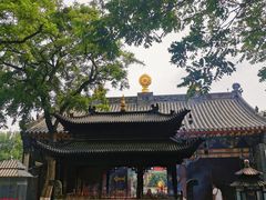 -护国法轮寺