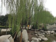 -西安青龙寺遗址景区
