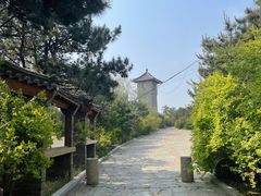 -爱新觉罗皇家博物院