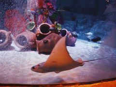 -沈阳海洋探索中心