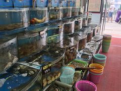 -渔中舟海鲜大排档(普陀沈家门店)