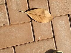 -上海海事大学东校区-上海港湾学校