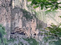 -王莽岭风景区