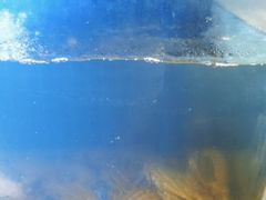 -老地方海鲜坊(步行街店)