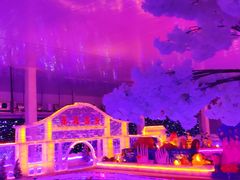 -荔波冰雪水世界主题乐园