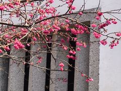 -乌山风景区