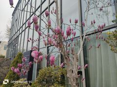-水月周庄铂尔曼酒店 · 漾全日餐厅