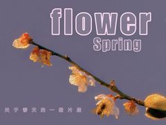 -无锡梅园公园