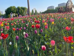 -长春公园(普阳街道)