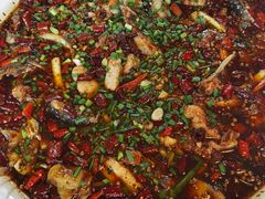 -西木兔(大圆祥店)