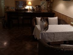 -隅cafe(傅厚岗店)