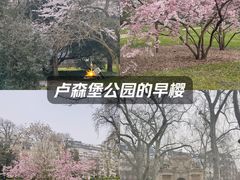 -卢森堡公园