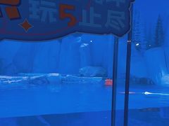 -上海海昌海洋公园-冰山北极馆