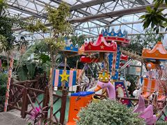 -南宫五洲植物乐园