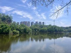 -重庆彩云湖湿地公园