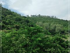 -小南山公园