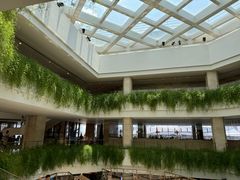 -广州白天鹅宾馆