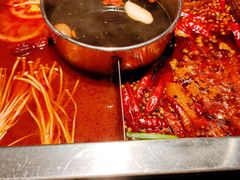 -蜀江龙火锅(339店)