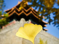 -东华门大街小区