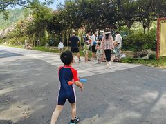 -木兰云雾山