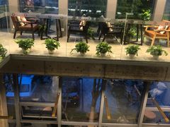 -了不起的考拉咖啡店(高新店)