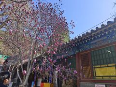 -潭柘寺景区