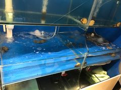 -臻鲜燕海鲜融合餐厅(金陵style店)