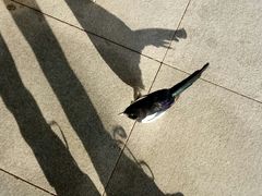 -木火炖鱼农家炕(祥宇上品总店)