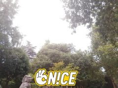 -西安市纺织公园