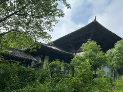 -大唐贡茶院
